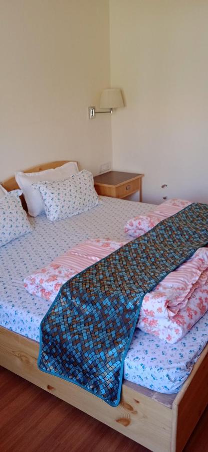 Lhardak Home Stay Leh Exterior photo